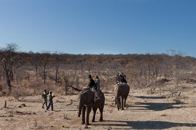 016 Zimbabwe, olifantentocht.jpg